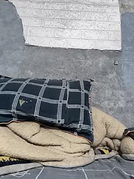 cactoto online show from March 20, 6:12 pm