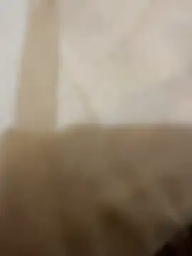 yassineamri online show from April 15, 7:47 pm