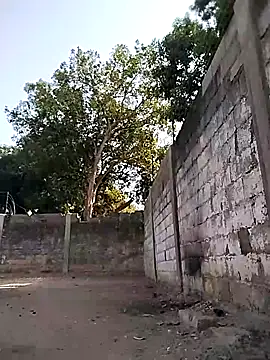 spittermasterpig1 online show from April 12, 12:50 pm