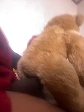 Bigcock127 online show from March 24, 6:56 pm