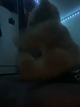 Bigcock127 online show from March 26, 12:26 am