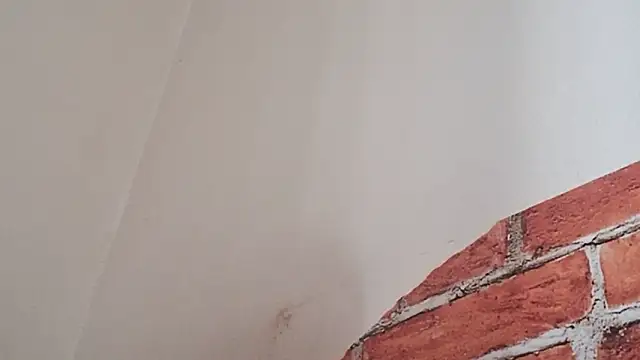 Sueliton2 online show from March 28, 5:35 pm