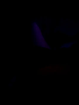 B S0051 online show from April 10, 8:05 pm