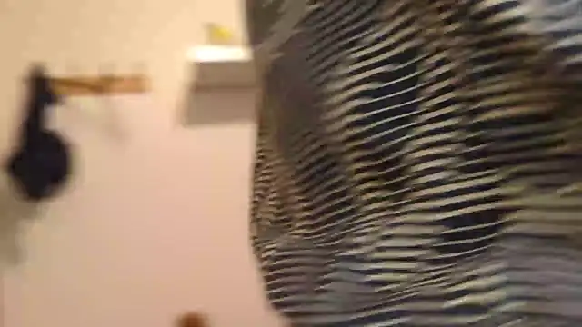 robin103666 online show from April 5, 2:57 pm