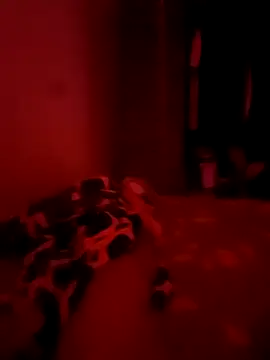 goldboy 0069 online show from April 5, 11:23 pm