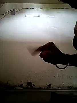 singh sahab 202 online show from April 8, 2:45 am