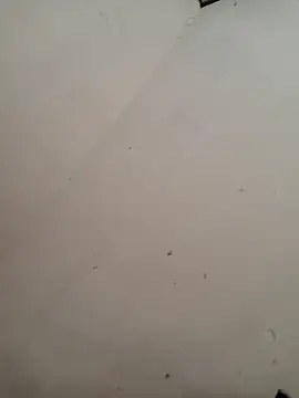 Luizfabiano887 online show from April 29, 5:41 pm