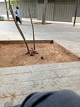 biga00 online show from April 11, 3:37 pm