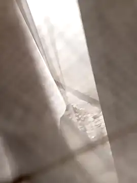 Therealdeedesirae online show from April 15, 11:32 am