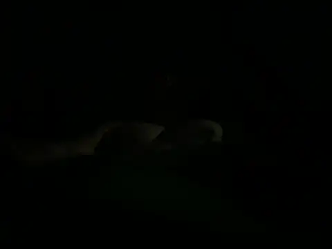 hunglikemeee online show from April 16, 1:16 am