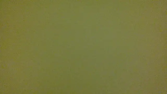 average jack online show from April 16, 11:29 pm