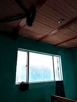 Z 99 reider online show from April 19, 4:50 pm