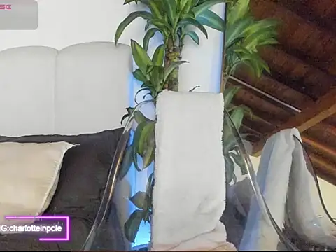 charlotteinpool online show from June 6, 7:25 am