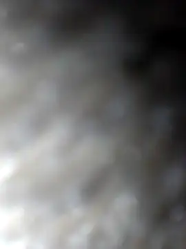 pussy muncha online show from July 22, 8:12 pm