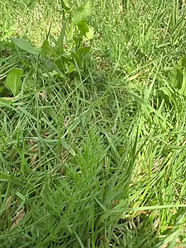 Leoviber online show from June 21, 12:22 pm
