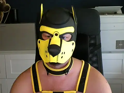 WildyLynx online show from July 7, 3:38 pm