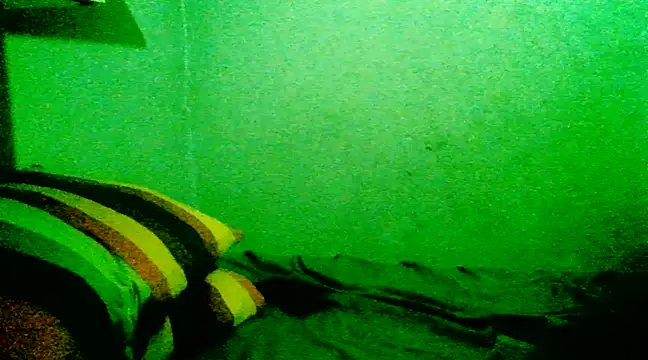 Snapshot of Eze_mole chatting on February 23, 7:03 pm Eze mole online show from February 23, 7:03 pm