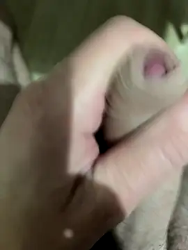 Bravissimo81 online show from September 25, 8:52 pm