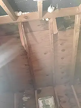 Snapshot of MaddyC6992 chatting on December 26, 12:49 pm MaddyC6992 online show from December 26, 12:49 pm