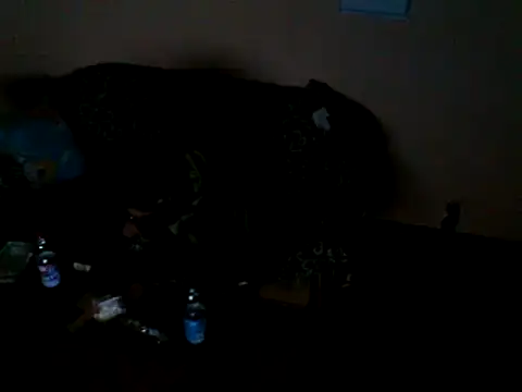 Snapshot of ZDRAVKICH chatting on December 23, 4:12 am ZDRAVKICH online show from December 23, 4:12 am