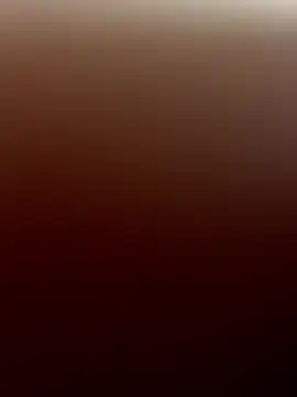 misterfield online show from April 13, 8:59 am