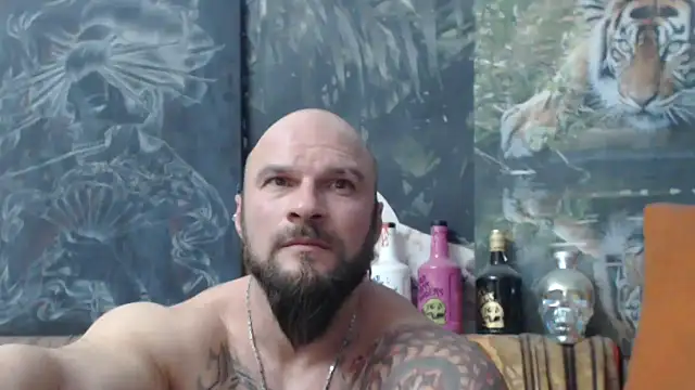 viking 30 online show from November 22, 7:46 pm