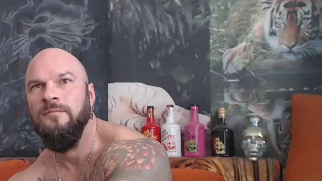 viking 30 online show from October 28, 11:12 am