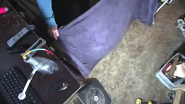 sex4fun 21 online show from March 2, 8:48 am