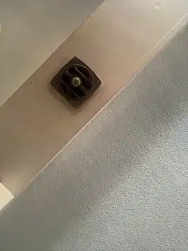 11lanasevol online show from March 18, 11:19 pm