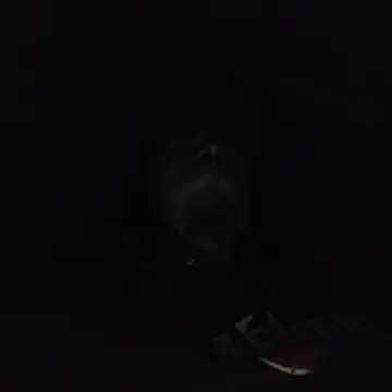 AlexAlejandro13 online show from February 3, 6:40 am