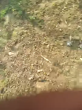 FinableKnee online show from October 27, 5:10 am