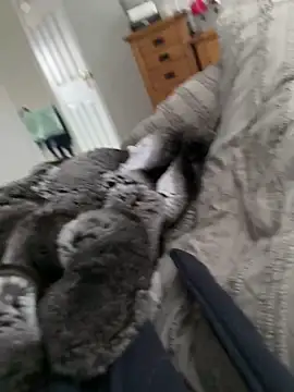 Furdale online show from March 30, 9:54 am