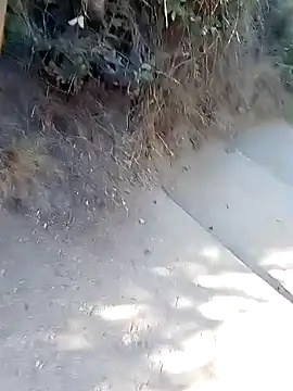 rodovlaz online show from March 2, 1:07 pm