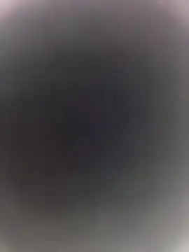 Pitercom online show from April 3, 12:29 am