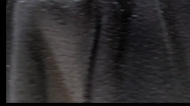 Justin Frank online show from February 22, 5:03 pm