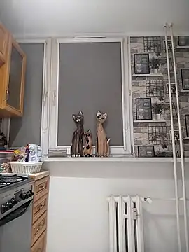 wilkalfa online show from December 1, 5:10 am