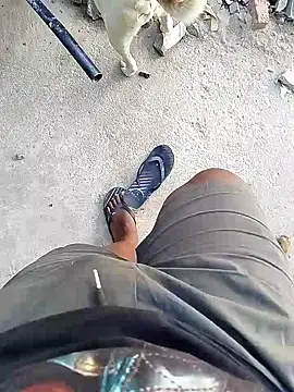 TitularAdaption online show from February 19, 6:54 am