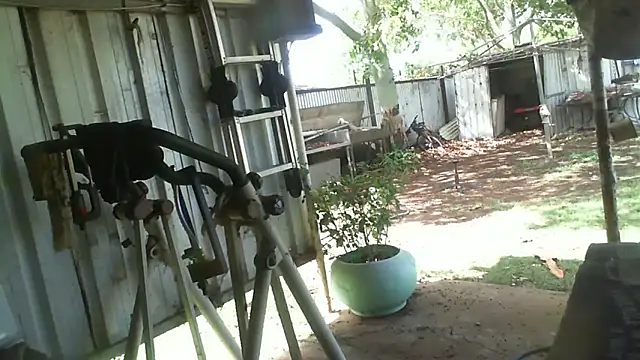 herbie010666 online show from November 26, 4:26 am