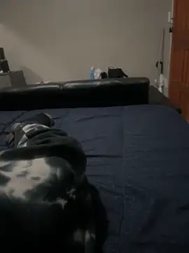 ROBOSTALLION online show from April 14, 7:57 pm