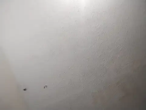 247Srokin online show from February 16, 10:57 am