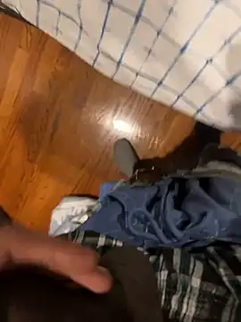 dingoding online show from December 23, 9:51 pm