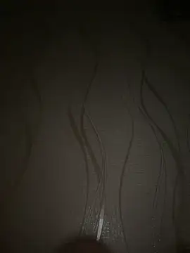 1981-AZ online show from November 26, 11:41 pm