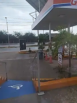 sagrado 1989 online show from January 12, 10:03 pm