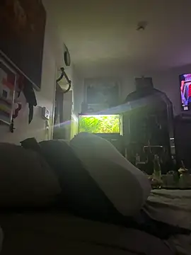 Toyjungee online show from January 12, 8:07 am