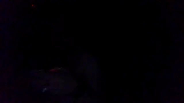 Mr big cock 2834 online show from November 12, 9:08 pm