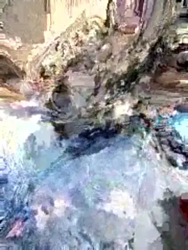 JoJob10 online show from January 8, 2:22 pm