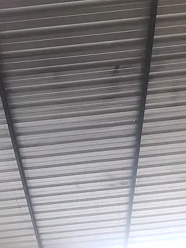 Somospareja1987 online show from June 19, 1:49 pm