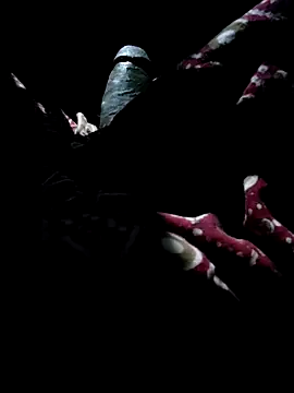 Snapshot of Kolkata___Boy chatting on September 28, 5:22 pm Kolkata Boy online show from September 28, 5:22 pm